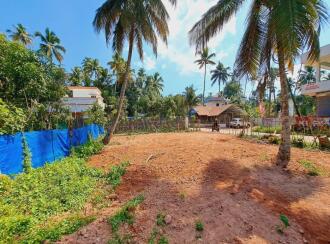 Residential Land for Sale in Alleppey, Cherthala, Kadakkarappally, NEAR BY KADAKKARAPALLY