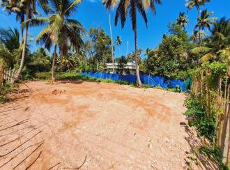 Residential Land for Sale in Alleppey, Cherthala, Kadakkarappally, NEAR BY KADAKKARAPALLY