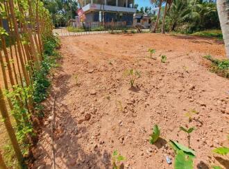 Residential Land for Sale in Alleppey, Cherthala, Kadakkarappally, NEAR BY KADAKKARAPALLY