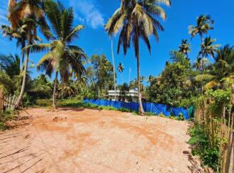 Residential Land for Sale in Alleppey, Cherthala, Kadakkarappally, NEAR BY KADAKKARAPALLY