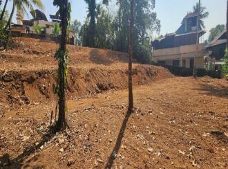 Residential Land for Sale in Kottayam, Kottayam town, Kanjikuzhy, LPS LANE