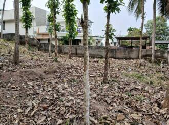 Residential Land for Sale in Trivandrum, Akkulam, Cheruvakkal, Alathara Rd
