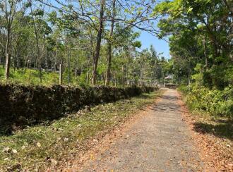 Agricultural Land for SaleErnakulam, Perumbavoor, Vengoor