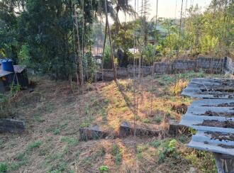 വാണിജ്യ ഭൂമി വില്പനയ്ക്ക് പാലക്കാട്, Shoranur, Shoranur, Shoranur ring road