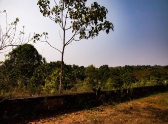 Residential Land for Sale in Kottayam, Changanassery, Karukachal