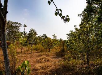 Residential Land for Sale in Kottayam, Changanassery, Karukachal