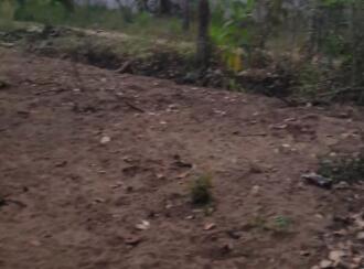 Residential Land for Sale in Thrissur, Thrissur town, Chakkarapadam, Perinjanam East