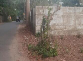 Residential Land for Sale in Thrissur, Thrissur town, Chakkarapadam, Perinjanam East