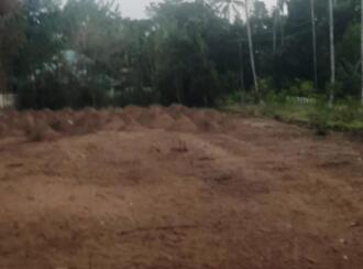 Residential Land for Sale in Thrissur, Thrissur town, Chakkarapadam, Perinjanam East