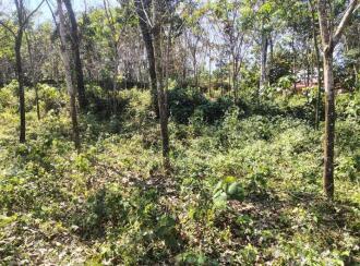 Residential Land for Sale in Pathanamthitta, Elavumthitta, Muttathukonam