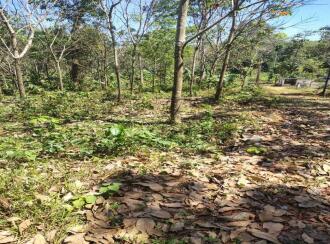 Residential Land for Sale in Pathanamthitta, Elavumthitta, Muttathukonam