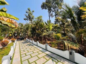 Residential Land for Sale in Ernakulam, Kothamangalam, Nellimattom