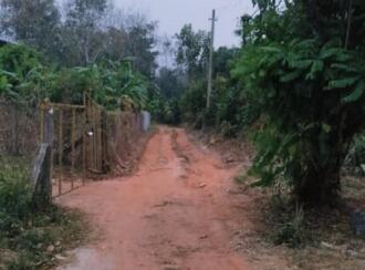 Residential Land, Palakkad