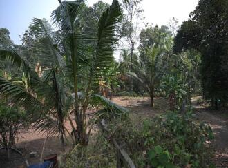 Residential Land for Sale in Ernakulam, Muvattupuzha, Arakuzha, perumballoor