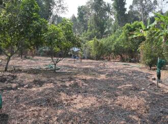 Residential Land for Sale in Ernakulam, Muvattupuzha, Arakuzha, perumballoor