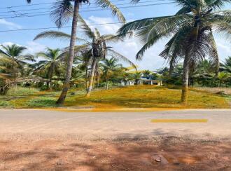 Residential Land, Kannur