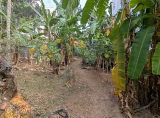 Residential Land for Sale in Trivandrum, Thiruvananthapuram, Kunnukuzhi