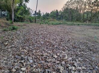 Residential Land for Sale in Palakkad, Palakkad, Alathur, NEAR SRI KAMAKSHIAMMAN TEMPLE ERATTAKULAM PALAKKAD