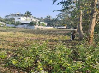Residential Land for Sale in Palakkad, Palakkad, Alathur, NEAR SRI KAMAKSHIAMMAN TEMPLE ERATTAKULAM PALAKKAD