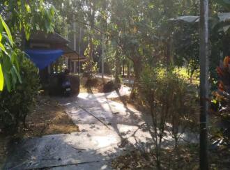 Agricultural Land for Sale in Thrissur, Mannuthy, Vellanikkara, Mangode, behind agri college Mannuthy