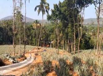 Residential Land for Sale in Ernakulam, Kothamangalam, Oonukal, Kothamangalam-Oonnual road