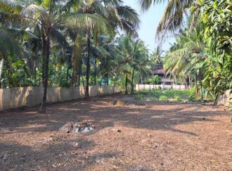 Residential Land for Sale in Alleppey, Kayamkulam, Muthukulam, Marakkalethu Mukku