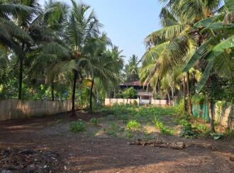 Residential Land for Sale in Alleppey, Kayamkulam, Muthukulam, Marakkalethu Mukku