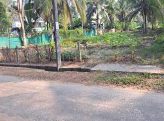 Residential Land for Sale in Alleppey, Kayamkulam, Muthukulam, Marakkalethu Mukku