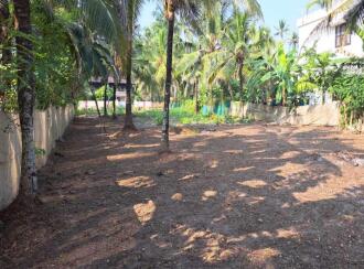 Residential Land for Sale in Alleppey, Kayamkulam, Muthukulam, Marakkalethu Mukku