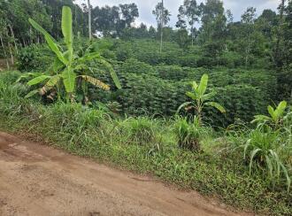 കൃഷി ഭൂമി വില്പനയ്ക്ക് എറണാകുളം, Muvattupuzha, Avoly