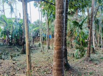 Residential Land for Sale in Kannur, Kannur, Thilannur