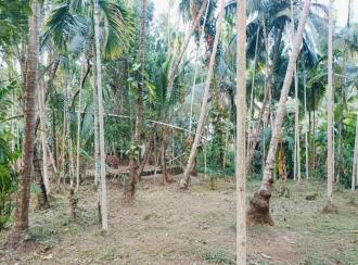 Residential Land for Sale in Kannur, Kannur, Thilannur