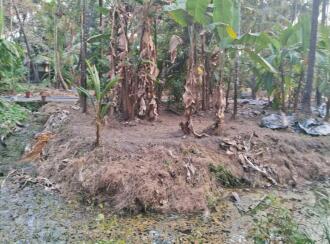 Residential Land for Sale in Ernakulam, Vypin, Nayarambalam, Nayarambalam Village