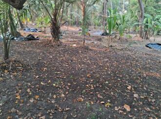 Residential Land for Sale in Ernakulam, Vypin, Nayarambalam, Nayarambalam Village