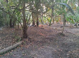 Residential Land for Sale in Ernakulam, Vypin, Nayarambalam, Nayarambalam Village