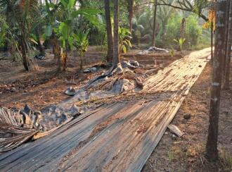 Residential Land for Sale in Ernakulam, Vypin, Nayarambalam, Nayarambalam Village