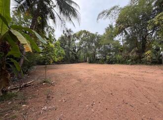 Residential Land for Sale in Pathanamthitta, Thiruvalla, Kuttapuzha