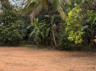 Residential Land for Sale in Pathanamthitta, Thiruvalla, Kuttapuzha