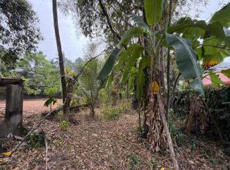 Residential Land for Sale in Pathanamthitta, Thiruvalla, Kuttapuzha
