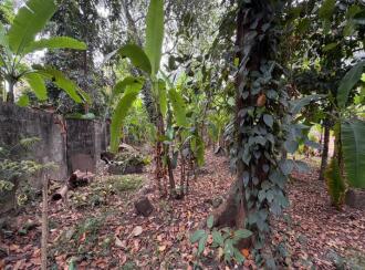 Residential Land for Sale in Pathanamthitta, Thiruvalla, Kuttapuzha