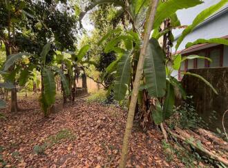 Residential Land for Sale in Pathanamthitta, Thiruvalla, Kuttapuzha