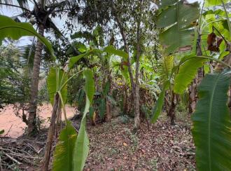 Residential Land for Sale in Pathanamthitta, Thiruvalla, Kuttapuzha