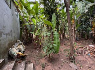 Residential Land for Sale in Pathanamthitta, Thiruvalla, Kuttapuzha