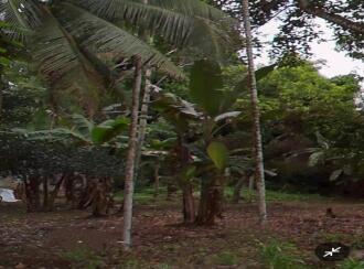 Residential Land for Sale in Alleppey, Chengannur, Kodukulanji