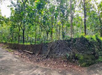 Agricultural Land for Sale in Ernakulam, Perumbavoor, Kombanad