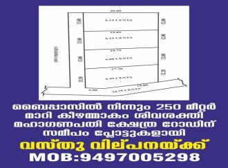 Residential Land for Sale in Trivandrum, Neyyattinkara, Chankal, Poozhikunnu
