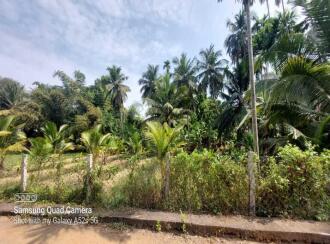 Residential House Villa for Sale in Palakkad, Palakkad, Kuzhalmannam, Nirvana, Kuzhalmannam