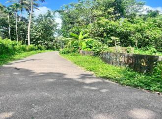Residential Land for Sale in Thrissur, Mala, Kundoor, alamattam