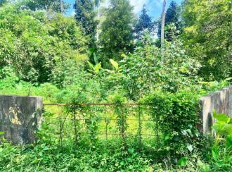 Residential Land for Sale in Thrissur, Mala, Kundoor, alamattam