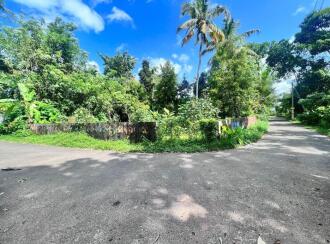 Residential Land for Sale in Thrissur, Mala, Kundoor, alamattam